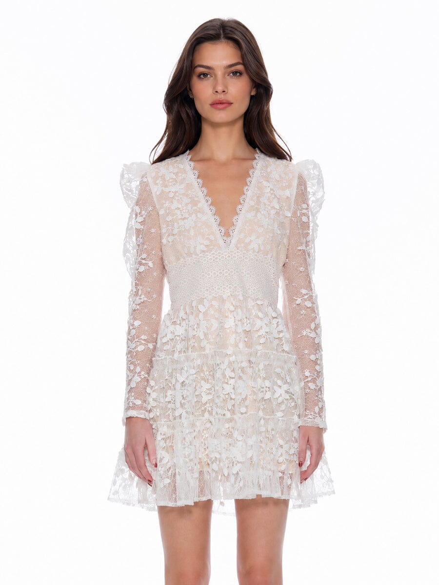 Gracia Fashion Women's Flowery Embroidered Lace V-Neck Mesh Mini Dress